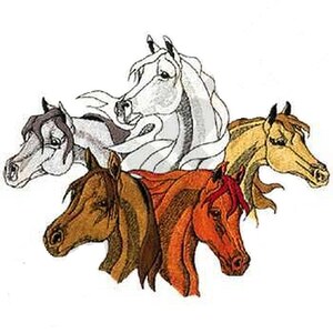 Può includere: Un disegno ricamato con quattro teste di cavallo in diversi colori: bianco, grigio, marrone e arancione. I cavalli sono disposti in un cerchio, con le teste rivolte verso l'interno.