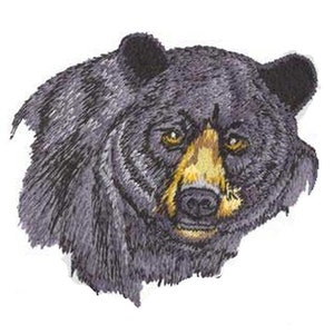 May include: Close-up of a black bear's head with a yellow nose and brown eyes. The bear's fur is detailed with dark and light shades of gray.