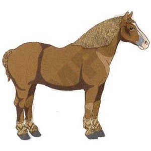 May include: A brown horse with a light brown mane and a white patch on its face. The horse is standing on a white background.
