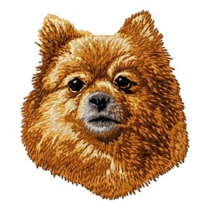 Pomeranian Buff Color, Embroidered Patches