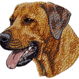 May include: A close-up of a brown and black dog's head with its tongue sticking out. The dog has a short, smooth coat and a friendly expression.