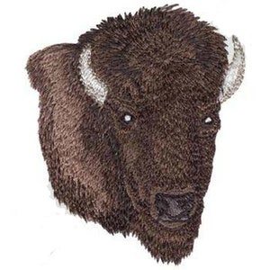 Puede incluir: Primer plano de la cabeza de un bisonte marrón con cuernos blancos. El bisonte está mirando directamente al espectador.