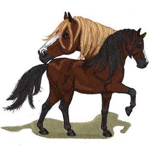 May include: Two horses, one brown with a black mane and tail, and one brown with a blonde mane, standing side by side. The brown horse with the black mane is standing on its hind legs.
