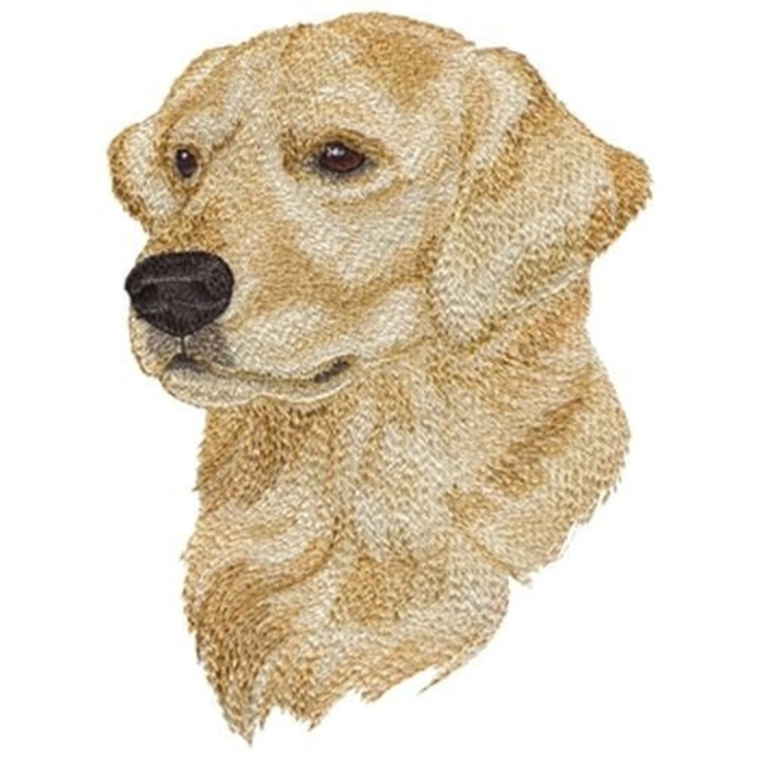 Golden Retriever Embroidered Patch 4.8 X 6.7 Etsy