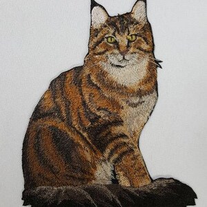 May include: Embroidered patch of a brown tabby cat with green eyes sitting on a brown background.
