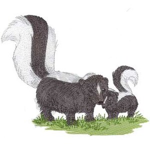May include: A black and white skunk with a white stripe down its back, standing on its hind legs, with a smaller skunk behind it.