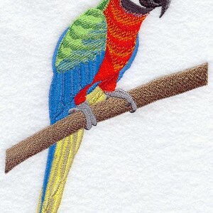 Könnte beinhalten: Ein gestickter Aufnäher, der einen bunten Ara-Papagei auf einem braunen Ast zeigt. Der Vogel hat ein leuchtend rotes, blaues, grünes und gelbes Gefieder mit einem weißen Gesichtsfleck und einem dunkelgrauen Schnabel in detaillierter Stickerei.