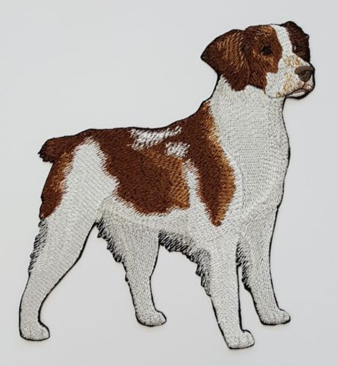 Macon & Lesquoy Skating Dog Embroidered Patch