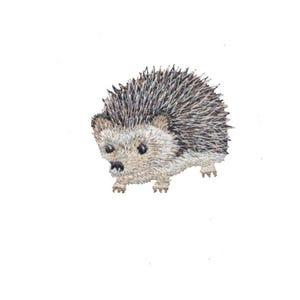 以下が含まれることがあります： 詳細なハリネズミが描かれた刺繍パッチ。ハリネズミは、明るい茶色の顔と体、濃い茶色と白の針を持っています。小さくて暗い目と小さな足が見えます。パッチは白い背景にあります。