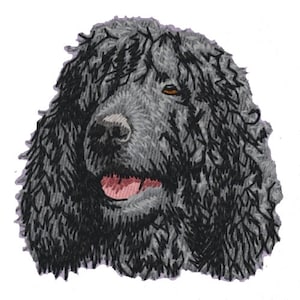 May include: A black curly-haired dog with a pink tongue sticking out. The dog is looking to the right of the image.