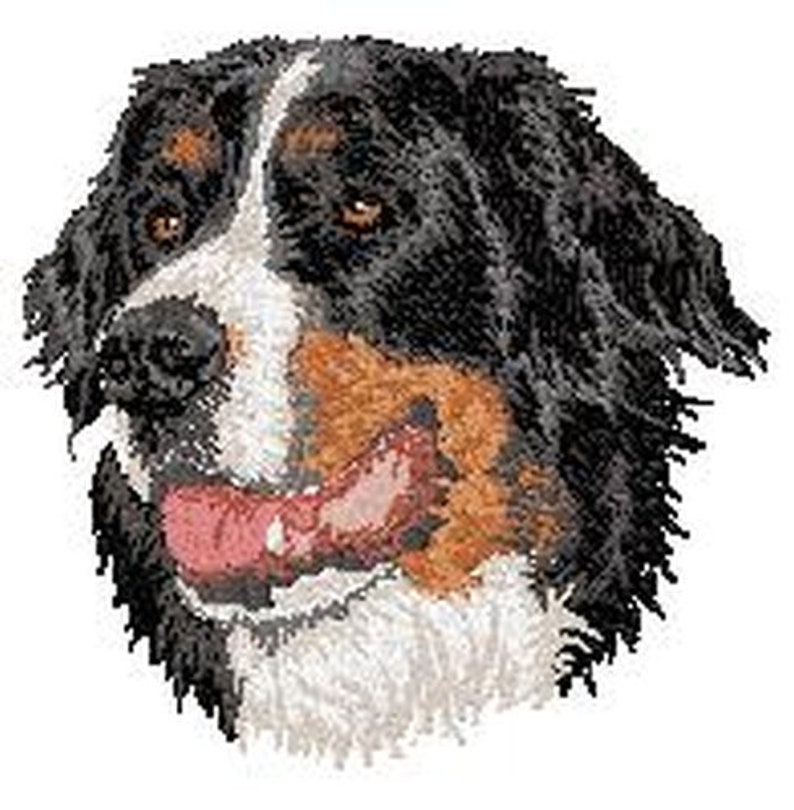 bernese mountain dog hat