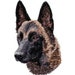 see more listings in the Dogs section