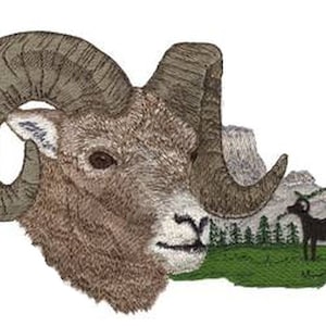 Può includere: Un ariete bighorn marrone e bianco con grandi corna ricurve. L'ariete è posto sullo sfondo di una catena montuosa con una piccola pecora scura in primo piano.