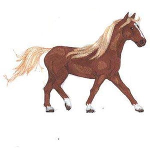 May include: A brown horse with a long, flowing blonde mane and tail. The horse is walking with its head held high.