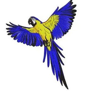 Parche bordado de guacamayo volando, 3,5 x 2,5 cm. Se puede planchar o coser.