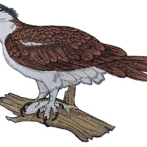 May include: An embroidered patch of an osprey perched on a branch with a fish in its talons. The osprey is brown and white with yellow eyes. The fish is green and white. The branch is brown.