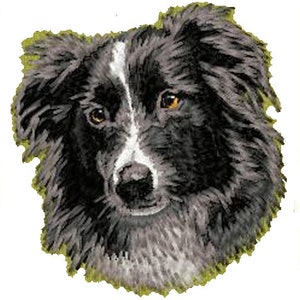 Peut inclure: Un border collie noir et blanc avec des yeux bruns regardant directement la caméra. Le chien a une tache blanche sur le front et une bande blanche sur le nez.