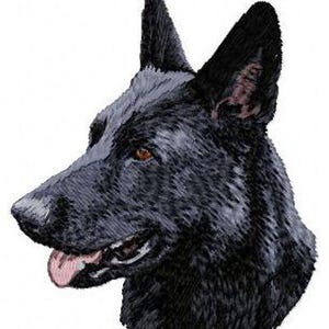 May include: A black German Shepherd dog with a dark gray muzzle and brown eyes. The dog is looking to the right of the image.