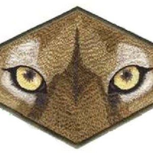 Cougar Eyes Embroidered Patch - Exotic Cat, Iron On/Sew On (7.9" x 4")