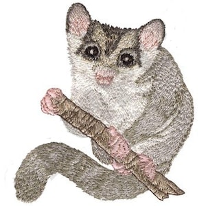 May include: An embroidered patch featuring a sugar glider with grey and white fur, large dark eyes, and pinkish paws. The small marsupial is depicted clutching a brown wooden branch with its front paws, while its long, thick, grey-toned tail curls below.