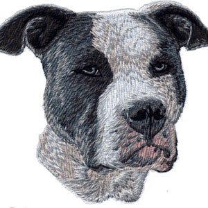 May include: A detailed illustration of a dog's head, featuring a mix of black, white, and gray fur. The dog has a serious expression with dark eyes and a prominent nose. The artwork is a close-up, highlighting the texture of the fur.