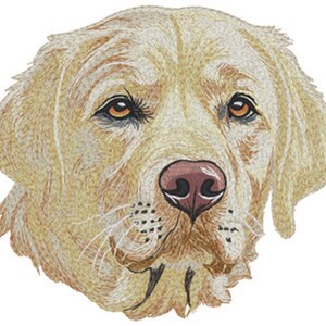 Peut inclure: Un écusson brodé représentant la tête d'un chien de couleur dorée avec des yeux ambrés, un museau rose brunâtre et des points détaillés qui capturent la texture du pelage, des moustaches et des traits du visage sur un fond blanc.
