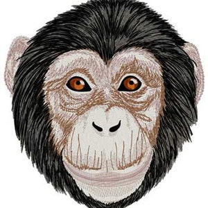 May include: Embroidered chimpanzee face with detailed stitching. The chimpanzee has brown eyes, a light-colored face, and black fur on top of its head. The design is likely for an applique or patch.