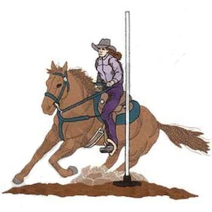 Puede incluir: Una mujer con una camisa morada y un sombrero de vaquero monta un caballo marrón mientras sostiene un poste. El caballo corre hacia un poste blanco.