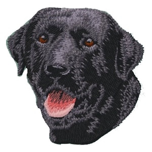 May include: A black Labrador Retriever dog with brown eyes and a pink tongue sticking out. The dog is looking to the right.
