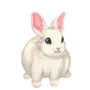 May include: A white rabbit with pink ears and black eyes. The rabbit is sitting on a white background.