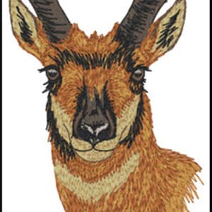Può includere: Una toppa ricamata raffigurante la testa di un'antilope americana. Il disegno presenta un manto color arancione e beige con segni neri sul muso, orecchie marrone scuro con punte nere e due corna ricurve marrone scuro sulla sommità del capo.