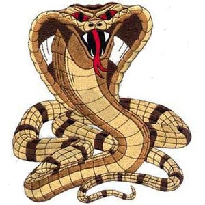 May include: Embroidered patch featuring a cobra snake with a raised hood. The snake has a tan body with brown markings, red eyes, and a red tongue. The patch is designed with detailed stitching and a white background.