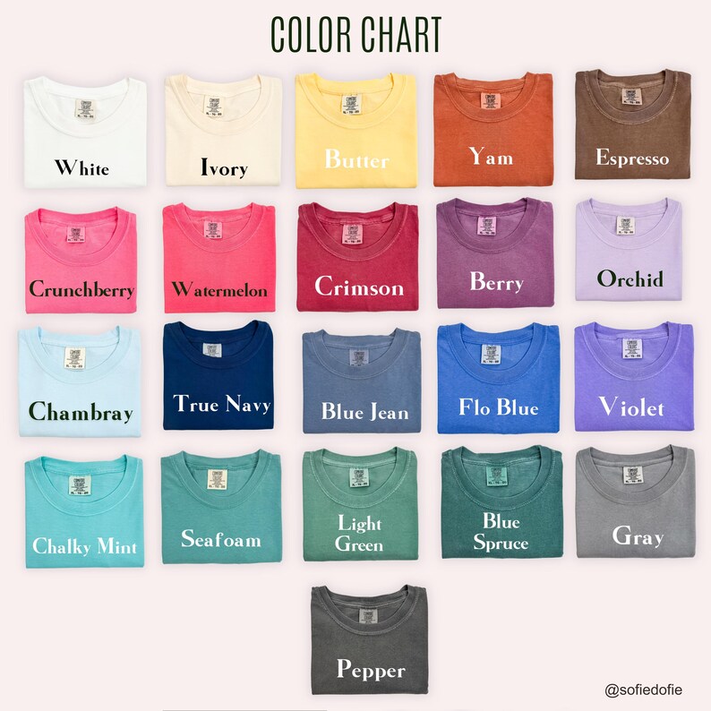 Homebody Sweatshirt, Introvert Crewneck, Comfort Colors Sweatshirt immagine 2