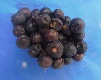 Juniper Berries - Juniper - Dried Juniper Berries - 10g