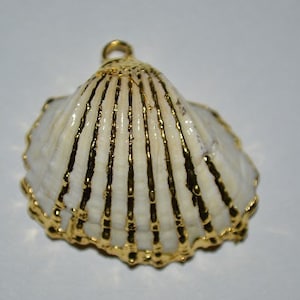May include: A white seashell pendant with gold accents. The shell has a detailed, ribbed texture and a gold loop at the top for hanging.