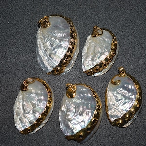 Vintage Goldrand weiße Muscheln Anhänger. (1060458 - SP4-1-02)
