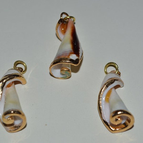 VINTAGE - Beautiful 24kt. Gold Edged White Spiral shells with bails for earrings, pendants or charms.(1060123 - SP7-4-02)