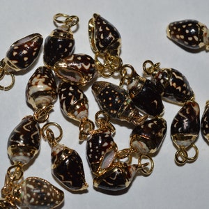 Vintage Beautiful Tiny 24kt. Gold Edged Brown and White Spotted Shells for earrings, pendants or charms. (1070020 - SP6-3-01)