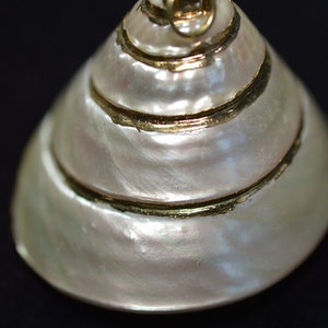 Vintage gold edged Large Cone Shells pendants. (1060515 - SP9-1-01)