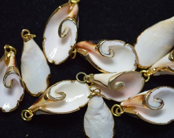VINTAGE - Beautiful 24kt. Gold Edged Botswana Spiral shells with bails for earrings, pendants or charms. (1060517 - SP3-4-02)