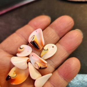Strombus Lily Cut Sea Shell Beads, 8 pcs, 17-20mm Curly horn beads  2040238 - LSB4