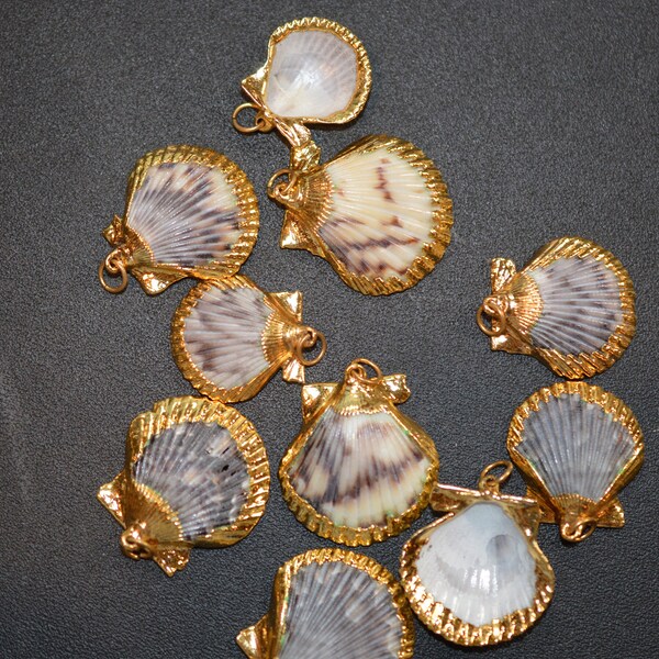 Vintage 24K Gold Edged Scallop Sea Shells, Gold Lined Shell, Nautical Jewelry (1070024 - SP6-3-02)