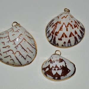 May include: Three white seashells with brown markings and gold accents. The seashells are shaped like clams and have a geometric pattern.