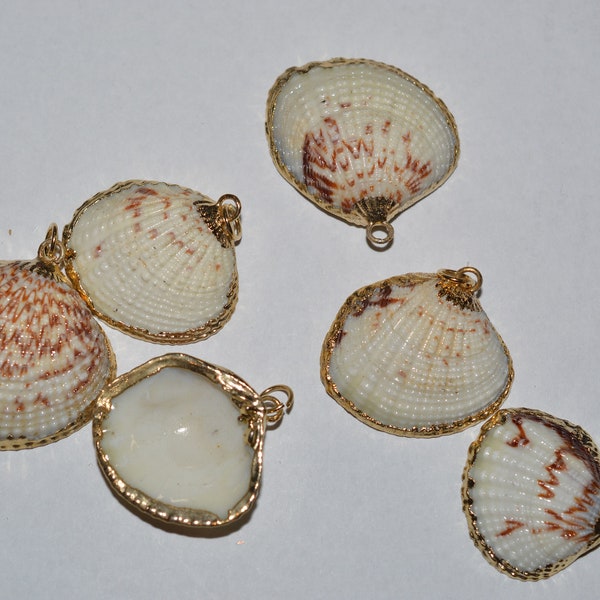 Vintage 24K Gold Edged Scallop Sea Shells, Gold Lined Shell, Nautical Jewelry (1070026 - SP7-2-02)