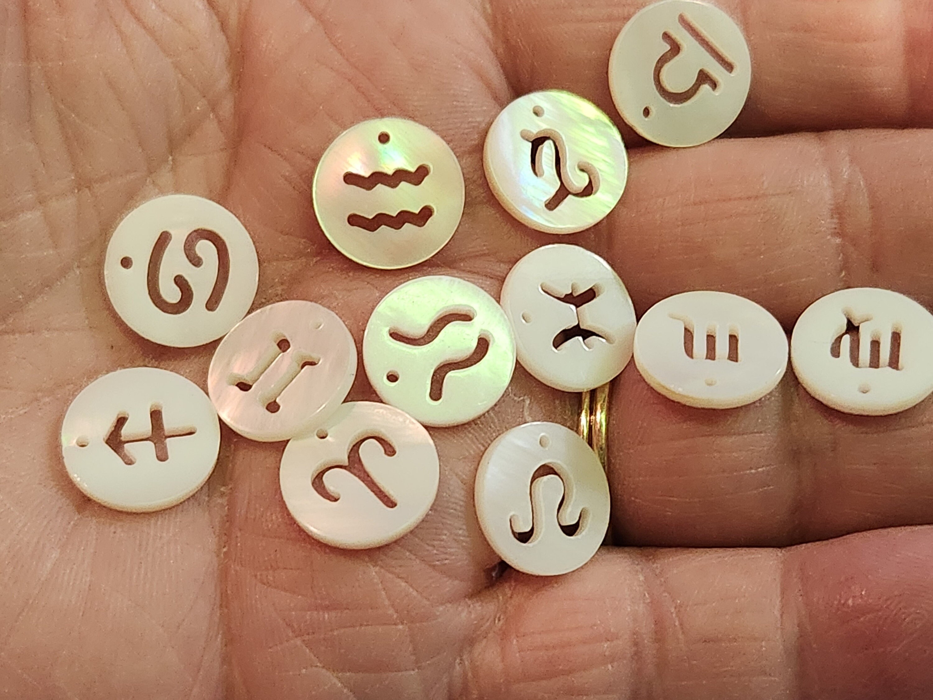 Mother-of-pearl Flat Round Zodiac Charms, Zodiac Set - 12mm