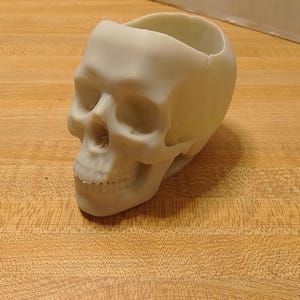 May include: A light-colored skull-shaped planter. The planter is made of a smooth material and has a hollowed-out top for holding plants or other items. The skull features detailed facial features, including eye sockets, a nose cavity, and teeth.