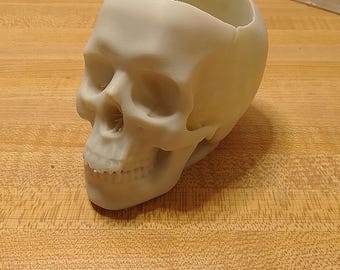 Skull Planter Bone White, for 2 inch pot size. Custom made by CustomPokersAndMore.com