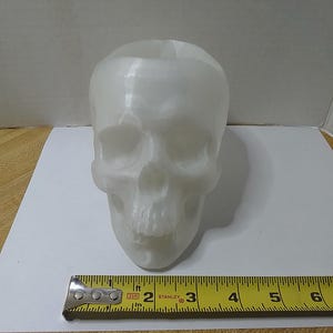 May include: A white skull-shaped decorative item. The skull has detailed facial features and a hollowed-out top. A measuring tape is placed near the skull, showing inches.