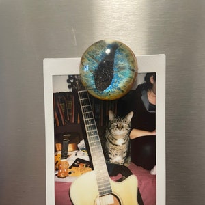 Katzenauge Magnet