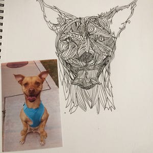 Coloring Book Custom Pet Portraits